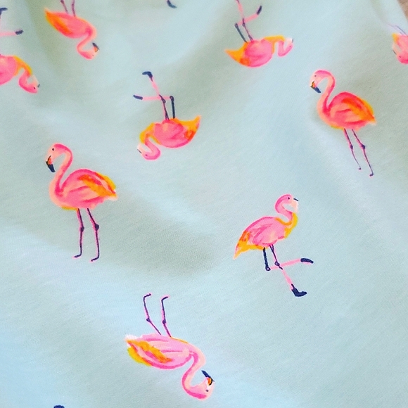 NWT New OshKosh B'gosh (2) Piece Flamingo Tank & Shorts Set Girls Size 14 - Picture 9 of 9